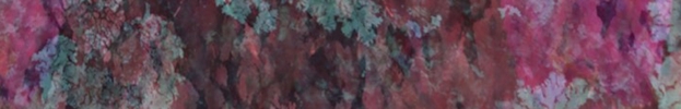 Pb-print6_preview