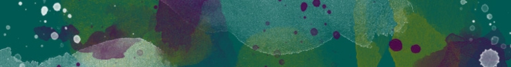 Banner6_preview