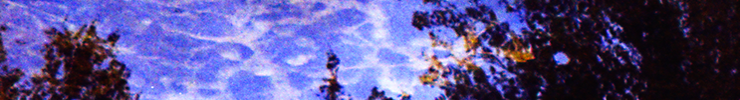 Banner3_preview