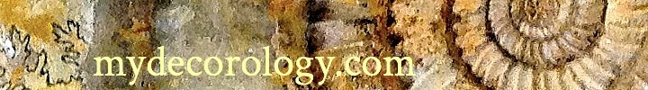 Mydecorology_ammonite_banner_preview