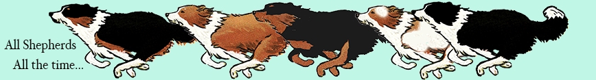 Spoonflower_banner_preview