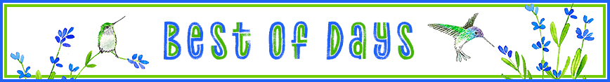 Best-of-days-banner_preview