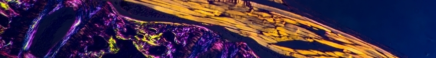 Polarized_muscle_and_bone_preview