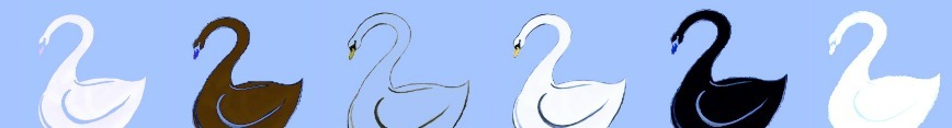 Swan_banner_preview