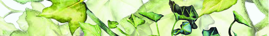 Banner_preview