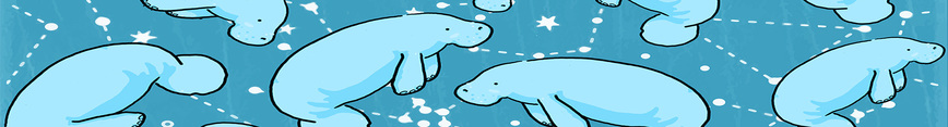 Cover-threadless_preview