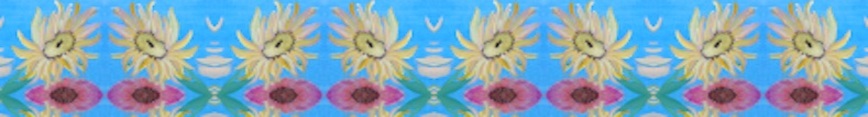 Banner_sunflower_preview