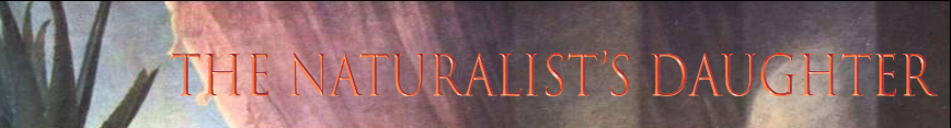 The_naturalists_daughter_shop_banner_2_preview