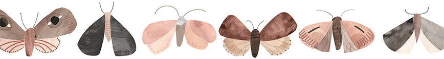 Moth-banner_preview