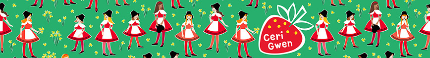 Welsh_girls_shop_front_preview