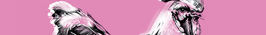 Cockerel_shopheader_preview