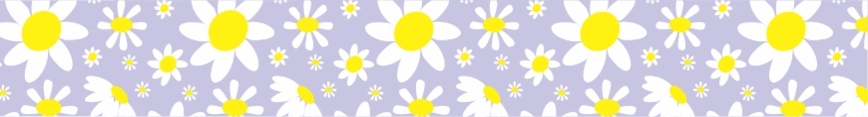 Daisy_shop_banner_preview