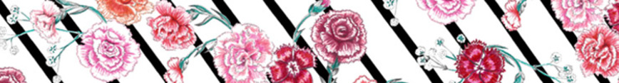 Banner_carnation_kate_2_preview