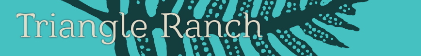 Triangleranch_banner_turq_spoonflower_preview