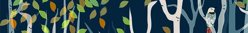 Birches_banner_sp_preview