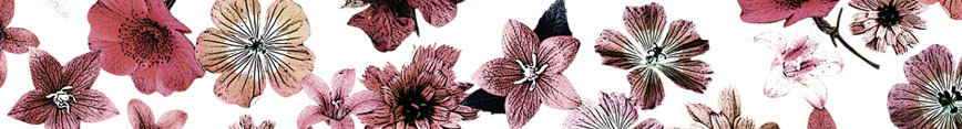 Spoonflower_banner_preview