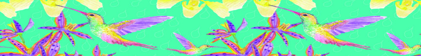 Paradise_etsy_banner_preview