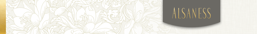 Sarahalsanspoonflower_banner_preview