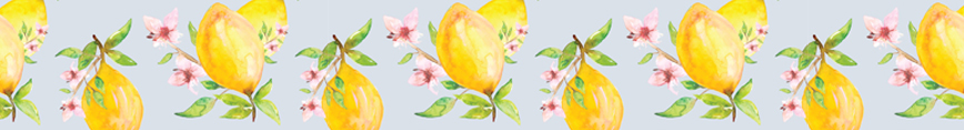 Shopbanner_preview