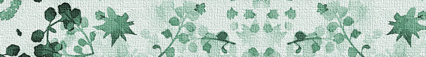 Borage_meadow_sage_with_canvas_banner_preview
