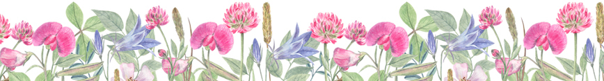 Spoonflower_banner_size_summer_preview