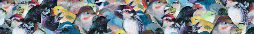 Bird_pattern_banner_preview