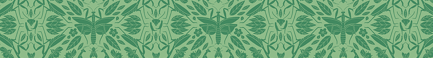 Mantis-damask-banner-green-small_preview