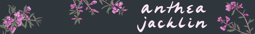 Spoonflower_logo_banner_preview