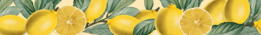 Lemon_banner_preview