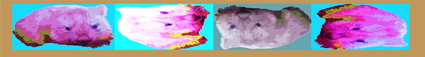 Colorful_wombats_banner_preview