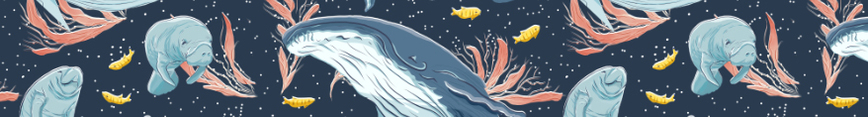 Whales_final_banner_preview