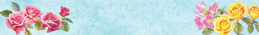 Banner_for_spoonflower_shop_preview