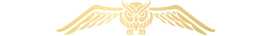 Spoonflower-banner-owl_preview