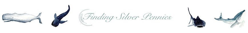 Spoonflower_banner_finding_silver_pennies_preview