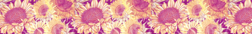 Sun-flowers-spoonflowerbanner_preview