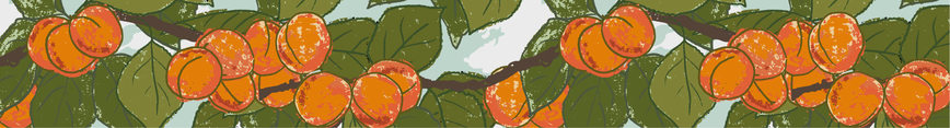 Banner_apricots-01_preview