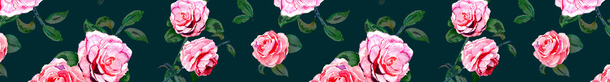 Katherine_s_rose_banner_preview