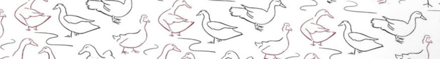 Sheba_the_duck_doodles_w_red__2__preview