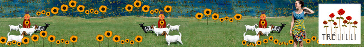 Etsy_shop_trelilli_banner_2_preview