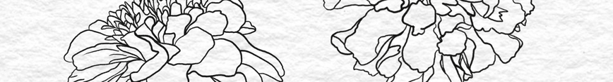 Banner_1_preview