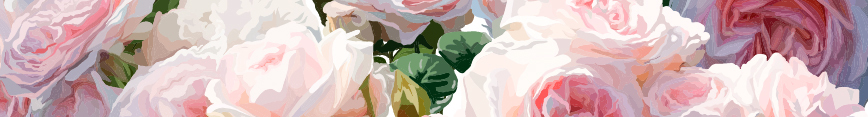 Spoonflower-header_preview