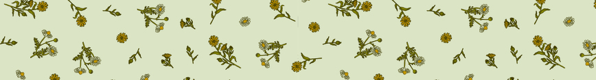 Spoonflower_banner_floral-01_preview