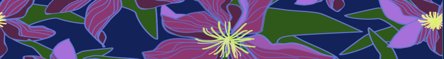 Midnight_clematis_-_cropped_preview