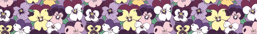 Spoonflower-shop-banner_preview