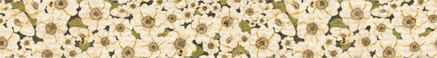 January-spoonflower-banner_preview