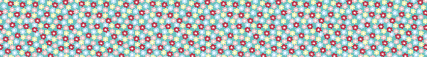 Spoonflower-banner_preview