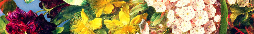 Banner-spoonflower-jennylloyd-flowers-digitalcollage_preview