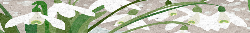 Website_snowdrops_banner_preview