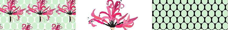 Amaryllis_banner_preview