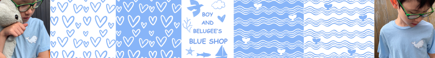 Boy_and_belugee_sf_banner__2__preview
